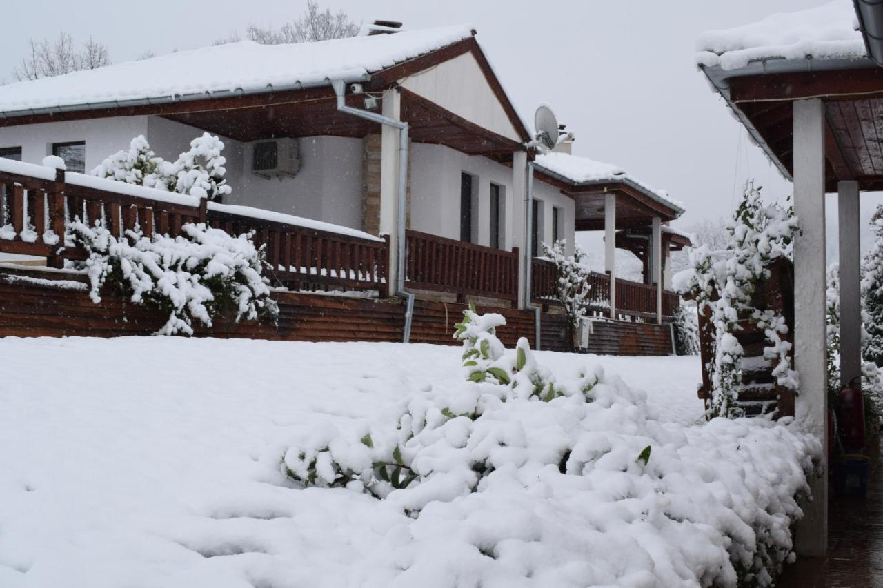 Two Villas Kirkovo Kirkovo  Eksteriør billede